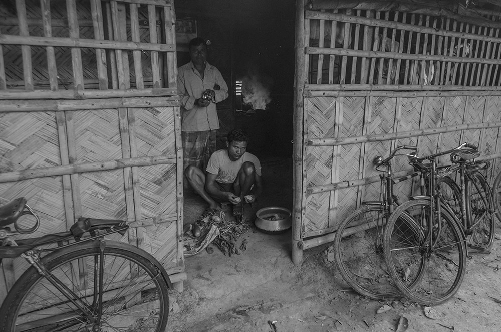 Fish Harvesting - Photo Series By Indian Photographer Ritesh Roy Chowdhury